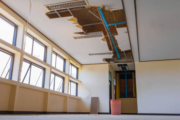 Best 24-hour water damage restoration  in Salem, WV
