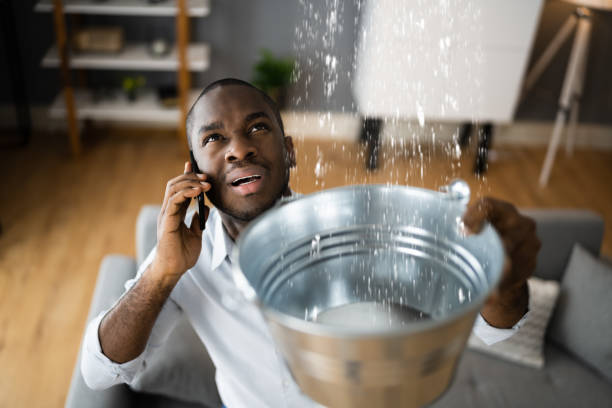Best Flood restoration services  in Salem, WV