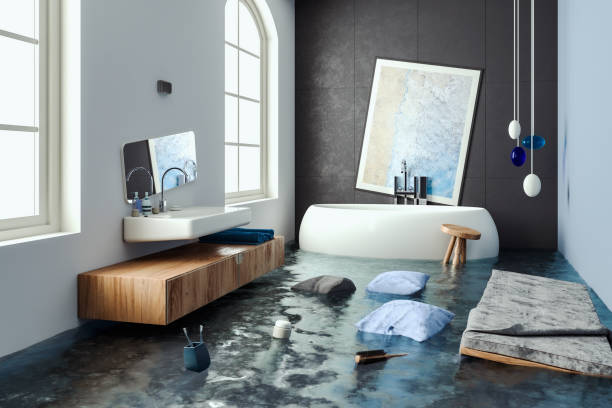 Best Professional water damage repair  in Salem, WV