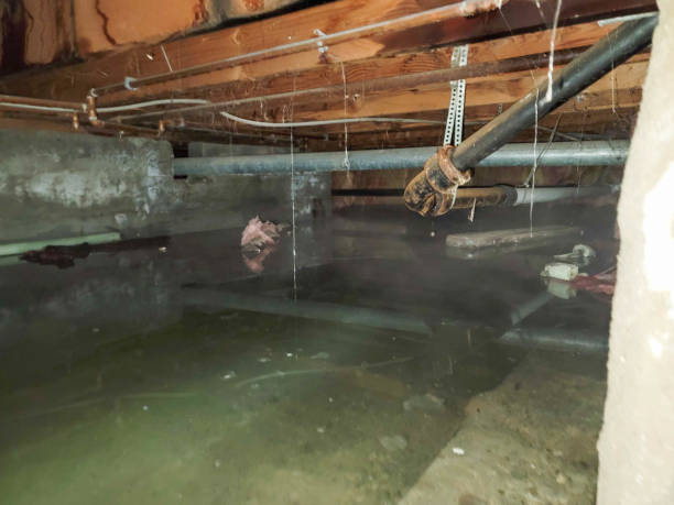 Sewage cleanup and water damage restoration in Salem, WV