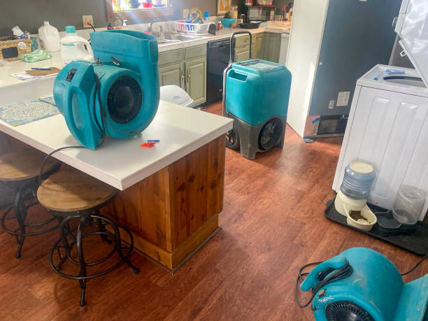 Best Mold removal after water damage  in Salem, WV