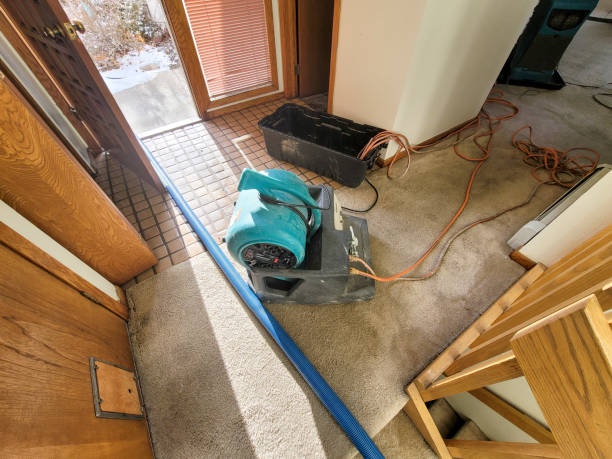 Best Basement water damage restoration  in Salem, WV