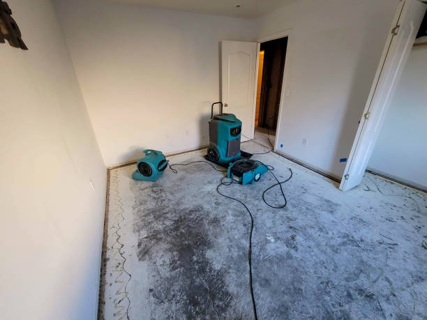 Best Water damage restoration near me  in Salem, WV
