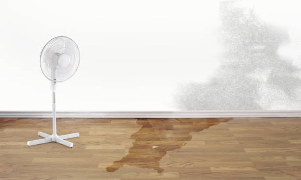 Best Residential water damage restoration  in Salem, WV