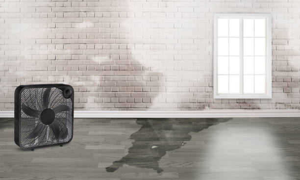 Sewage cleanup and water damage restoration in Salem, WV
