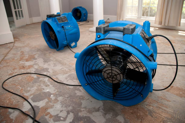 Best Water damage cleanup near me  in Salem, WV