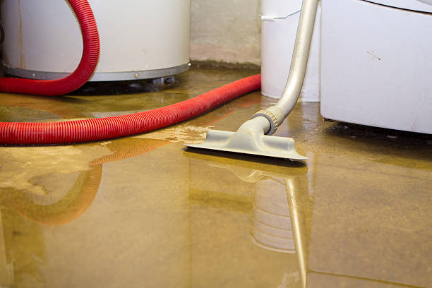Best Water damage restoration process  in Salem, WV