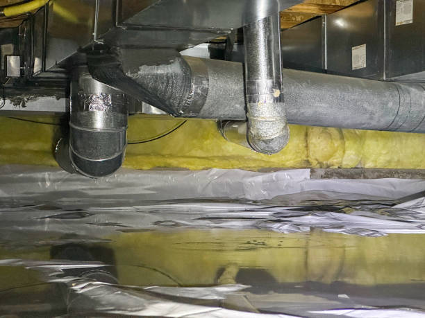 Best Water damage restoration company  in Salem, WV