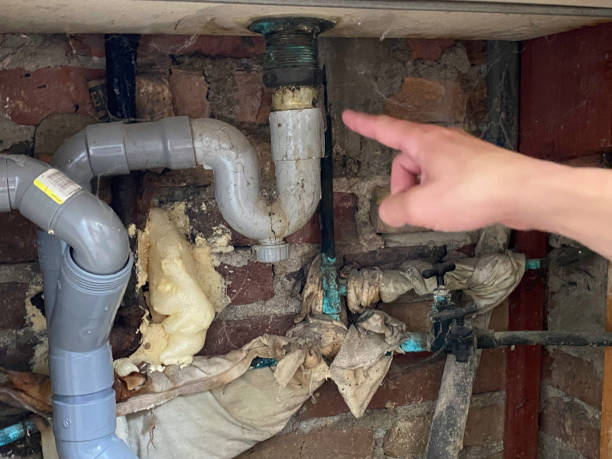Best Carpet water damage restoration  in Salem, WV