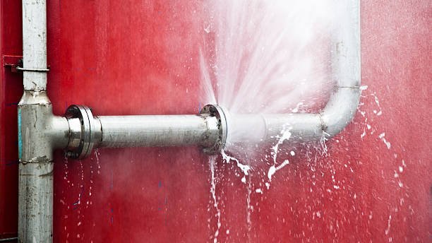 Best Water damage contractors near me  in Salem, WV